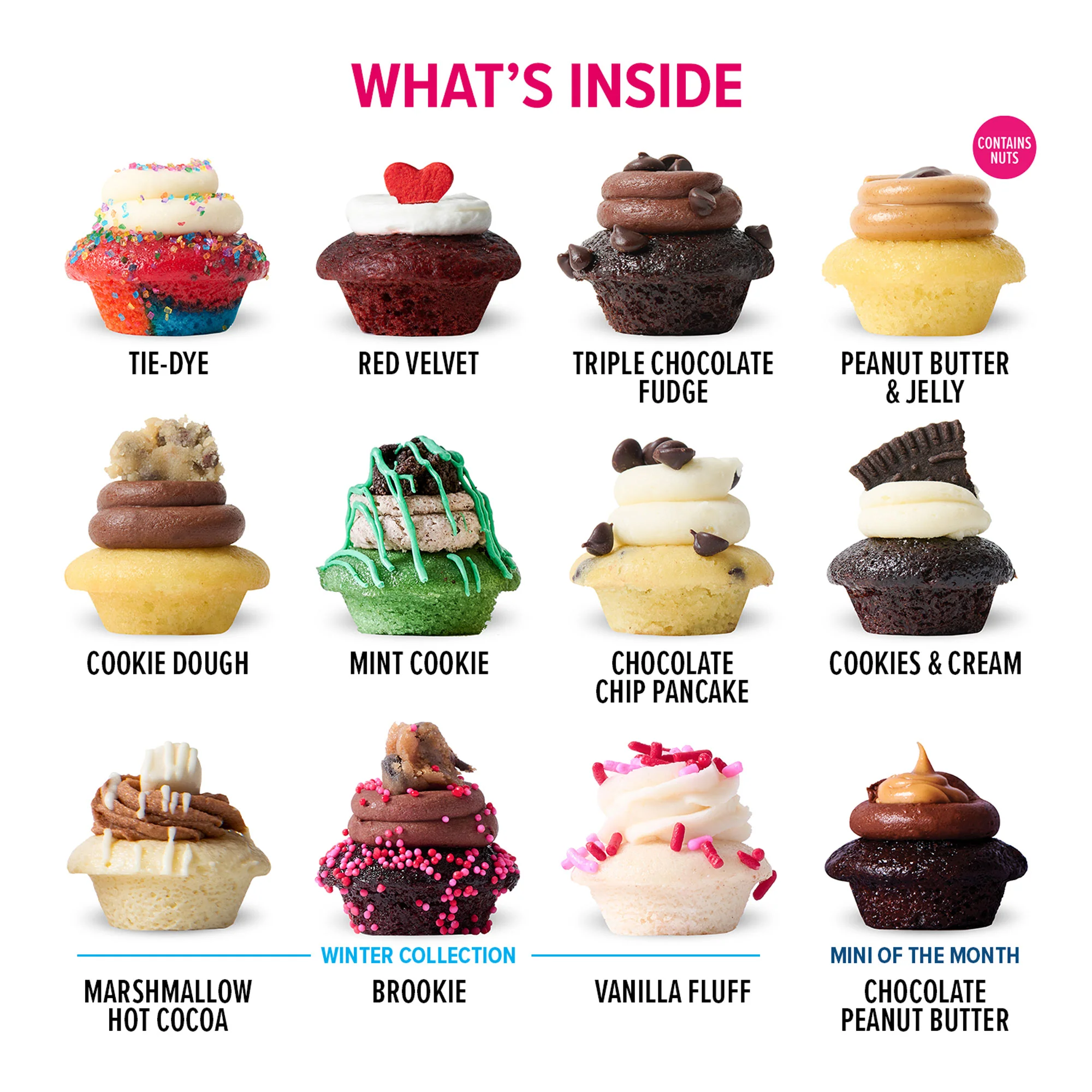 Sagittarius Cupcakes 25-Pack - Image 2